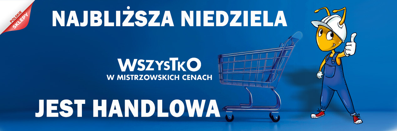 zdjęcie na stronie głównej
